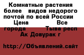Комнатные растения более200видов недорого почтой по всей России › Цена ­ 100-500 - Все города  »    . Тыва респ.,Ак-Довурак г.